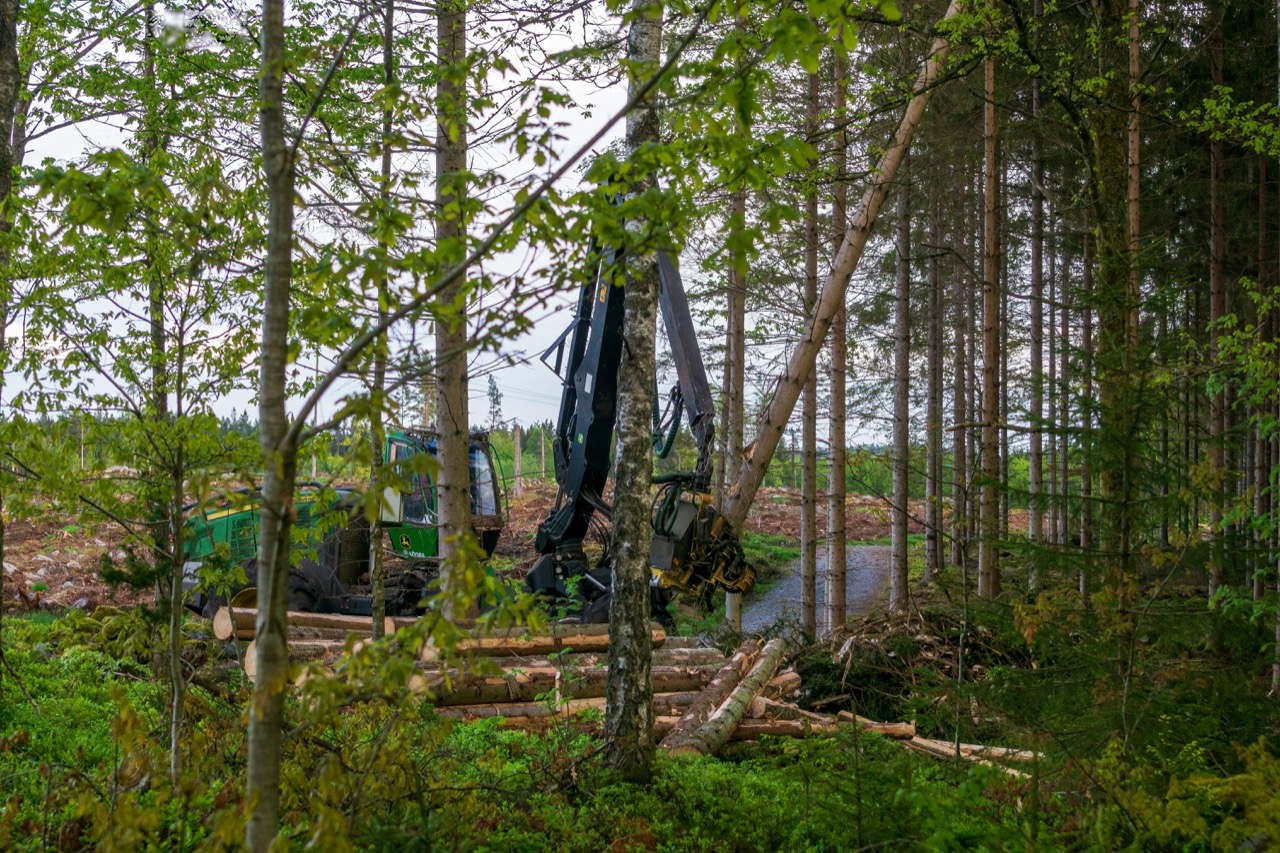 MZ Logging timber harvesting operations